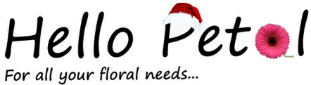 Hello Petal Florist Glasgow xmas logo